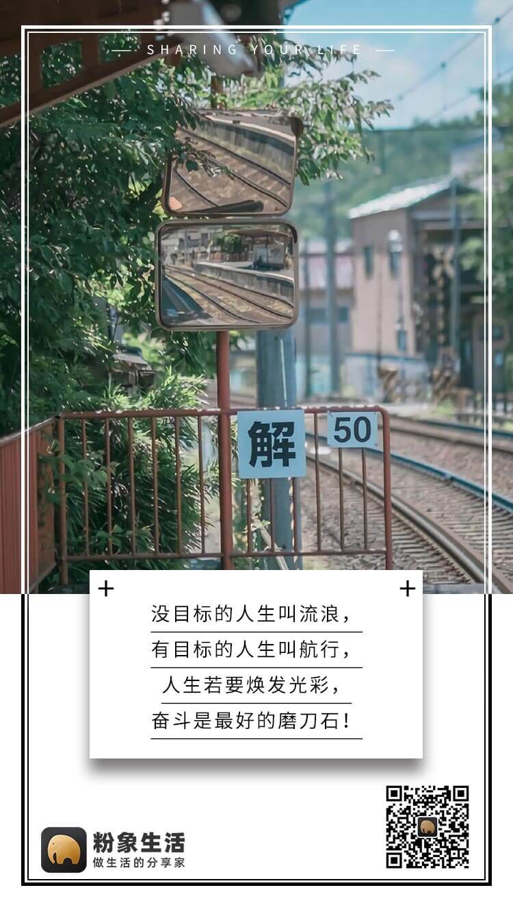 每天限免App精选优质 首推“OrasisHD”